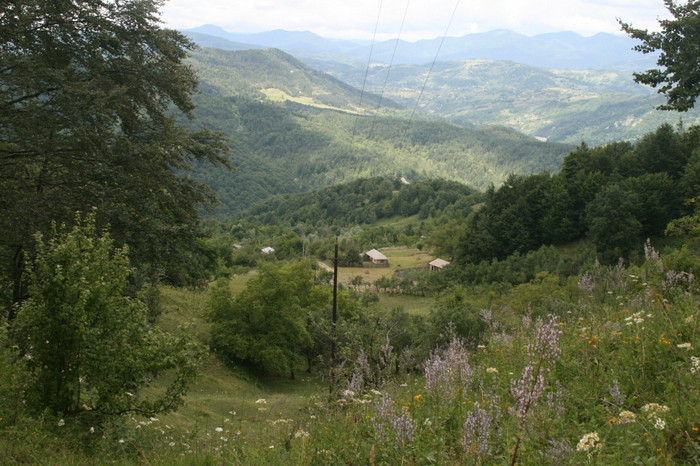 /Pietrosu/img_6555.jpg