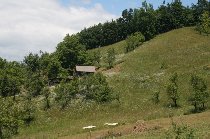 /Pietrosu/img_6564.jpg
