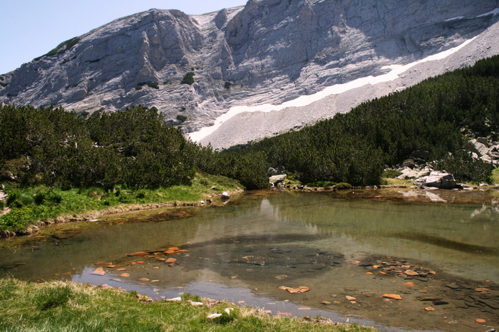 /Pirin1a/img_2737-j1.jpg