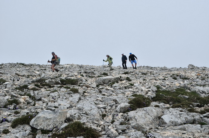 /Pirin2a/dsc_1245-j2.jpg