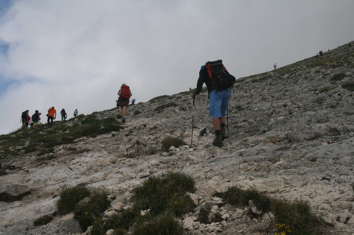 /Pirin2a/img_2949-j2.jpg