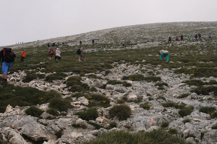 /Pirin2a/img_2952-j2.jpg