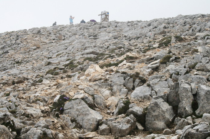 /Pirin2b/img_2959-j1.jpg
