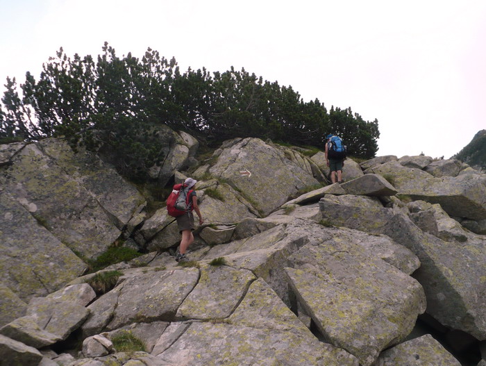 /Pirin3a/p1550728-j3.jpg