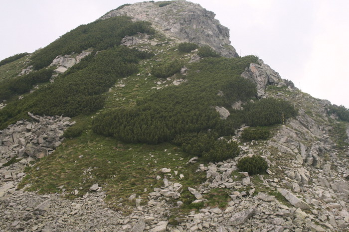 /Pirin3b/img_3182-j3.jpg