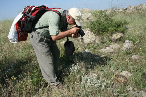 /Pricopanu1/img_5947-pp.jpg