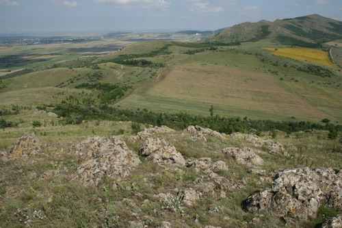 /Pricopanu2/img_5968-pp.jpg