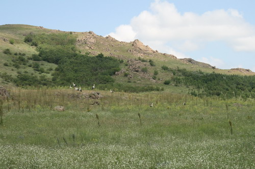 /Pricopanu2/img_6022-pp.jpg