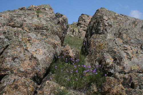 /Pricopanu2/img_6049-pp.jpg