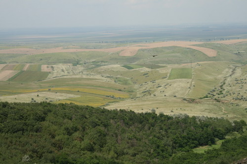 /Pricopanu3/img_6221-pp.jpg