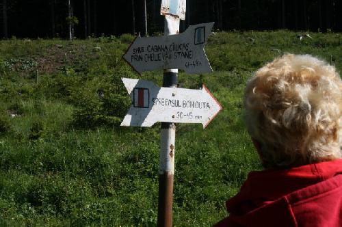 Carpati.org