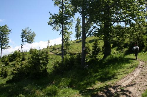 Carpati.org