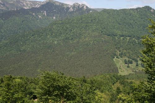 Carpati.org