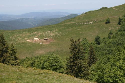 Carpati.org