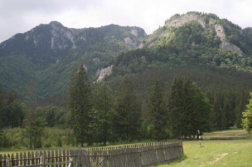 Carpati.org