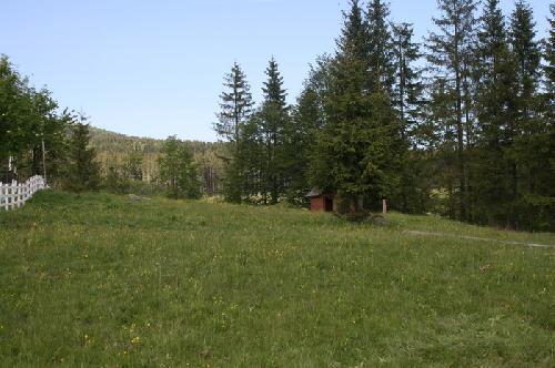 Carpati.org