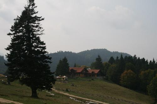 Carpati.org