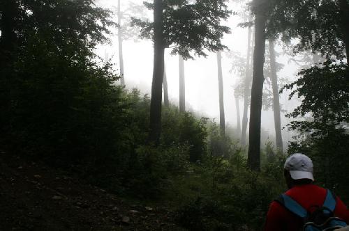 Carpati.org