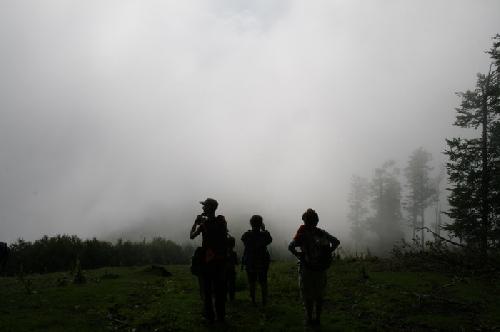 Carpati.org