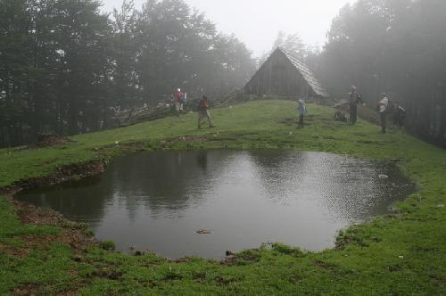 Carpati.org