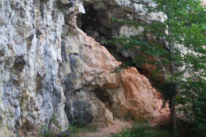 /VaduCrisului1/img_2356-j1.jpg