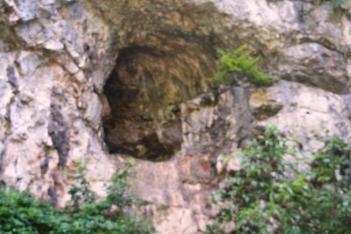 /VaduCrisului1/img_2359-j1.jpg