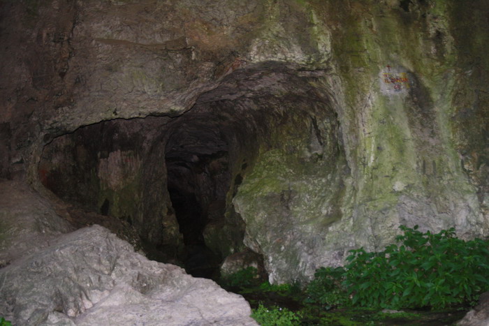 /VaduCrisului1/img_2368-j1.jpg