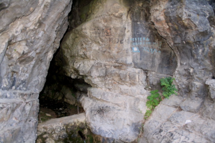 /VaduCrisului2/img_2255-j1.jpg