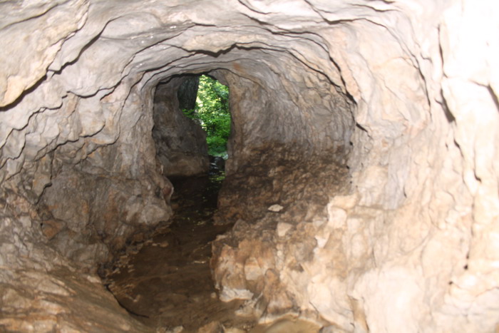/VaduCrisului2/img_2377-j1.jpg