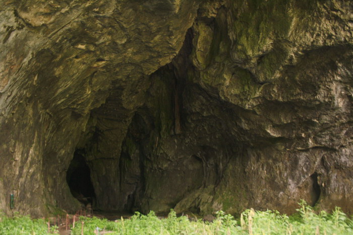 /VaduCrisului2/img_2406-j1.jpg