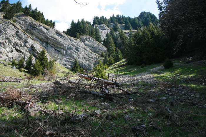 /ValeaAlpina4/img_1667-alp.jpg