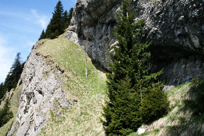 /ValeaAlpina4/img_1706-alp.jpg