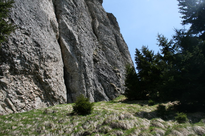 /ValeaAlpina4/img_1761-alp.jpg