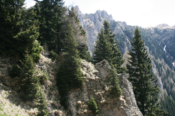 /ValeaAlpina4/img_1793-alp.jpg