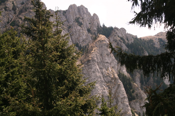/ValeaAlpina4/img_1807-alp.jpg