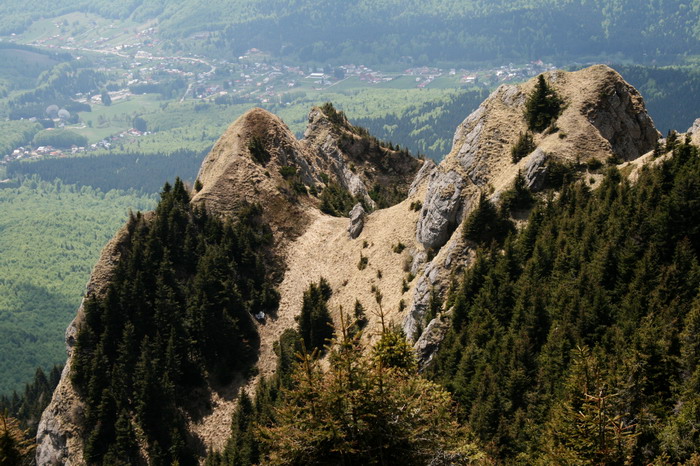 /ValeaAlpina4/img_1857-alp.jpg