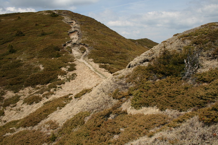 /ValeaAlpina4/img_1869-alp.jpg