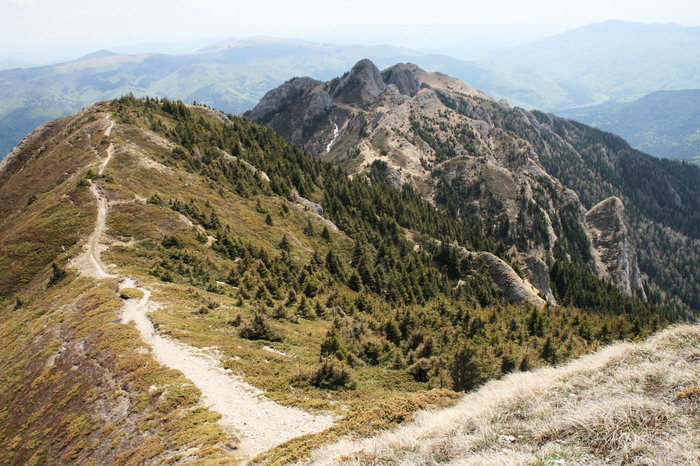 /ValeaAlpina4/img_1871-alp.jpg