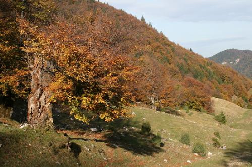/Vladusca4/img_1160-j1.jpg