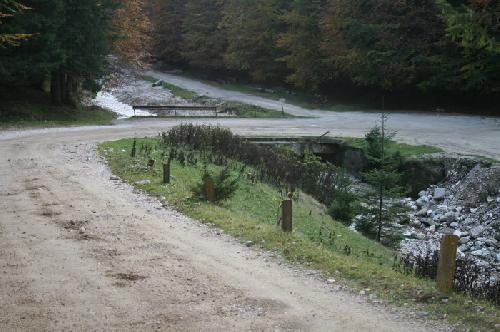/Vladusca4/img_1289-j1.jpg