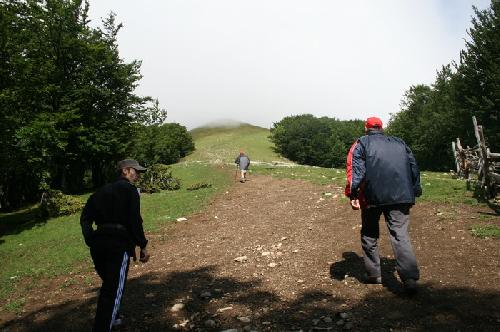 Carpati.org