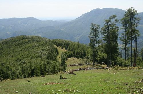 Carpati.org