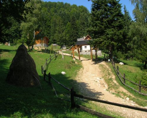 Carpati.org
