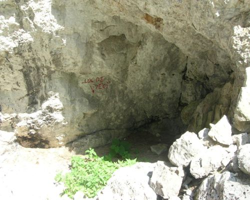 Carpati.org