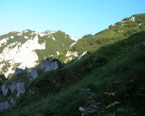 Carpati.org