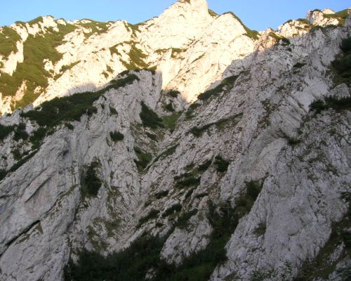 Carpati.org