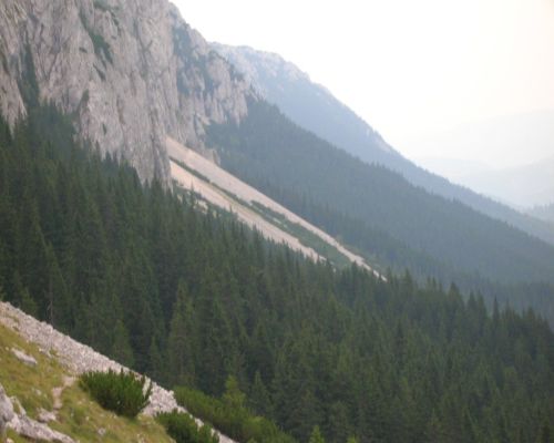 Carpati.org