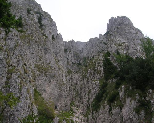 Carpati.org