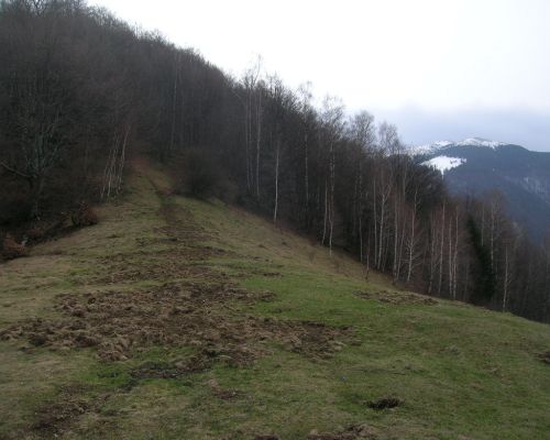 Carpati.org