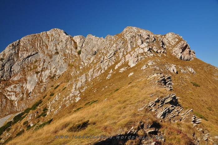 /Cerna/file0440.jpg